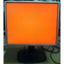 Монитор 19" TFT HP 1955 (DVI в Бердске, USB-хаб) "квадратный" (Бердск)