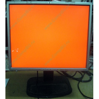 Монитор 19" TFT HP 1955 (DVI в Бердске, USB-хаб) "квадратный" (Бердск)