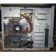 Intel Core i3 2130 /Asus P8875-M LE /4096Mb /250Gb /ATX 350W (Бердск)