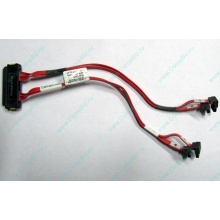 SATA-кабель для корзины HDD HP 451782-001 459190-001 для HP ML310 G5 (Бердск)