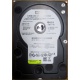 Б/У жёсткий диск 400Gb WD WD4000YR Caviar RE2 7200 rpm SATA  (Бердск)
