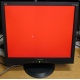 Монитор 19" ViewSonic VA903b (1280x1024) есть битые пиксели (Бердск)