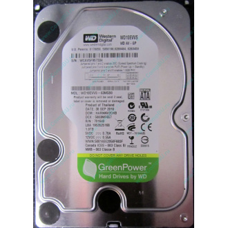 Б/У жёсткий диск 1Tb Western Digital WD10EVVS Green (WD AV-GP 1000 GB) 5400 rpm SATA (Бердск)