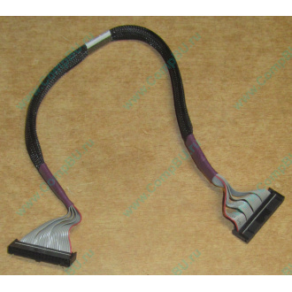 FDD-кабель HP 271946-006 для HP ML370 G3 G4 (Бердск)