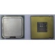 Процессор Intel Celeron D 336 (2.8GHz /256kb /533MHz) SL98W s.775 (Бердск)