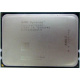 AMD Opteron 6128 OS6128WKT8EGO (Бердск)